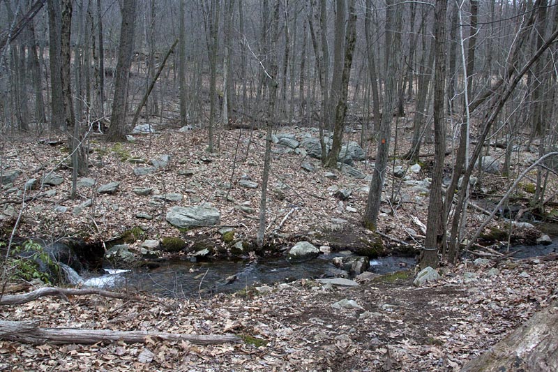 Wanaque Ridge in March