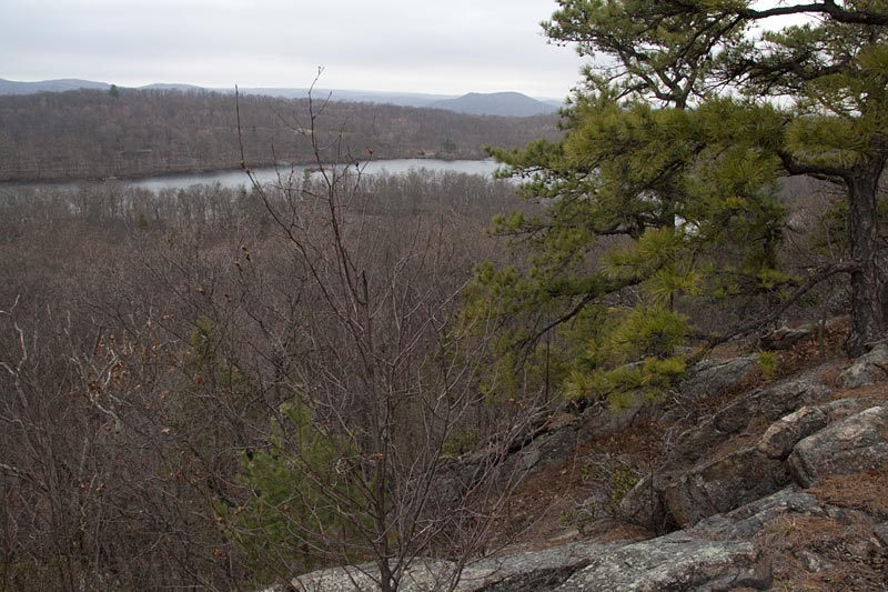 Wanaque Ridge in March