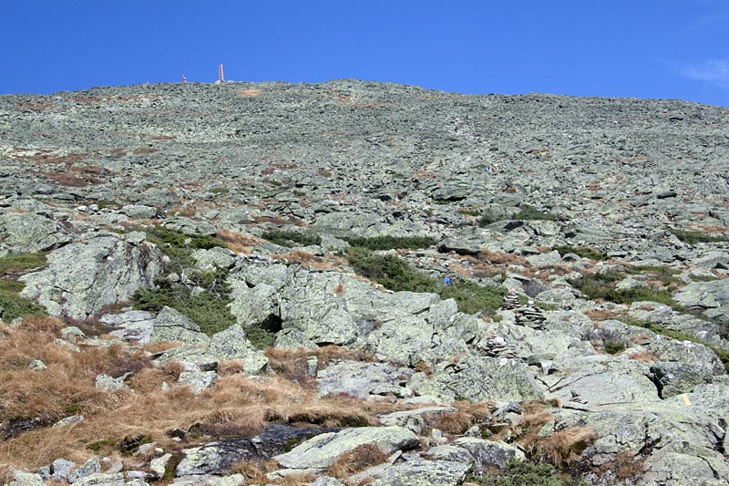 Large rock field on the hike up to Mt. Washington.