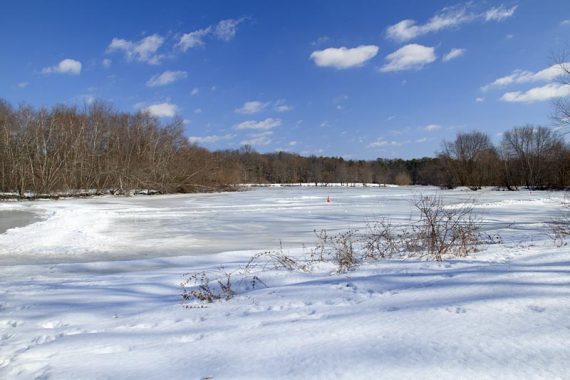 Lake at Turkey Swamp frozen over