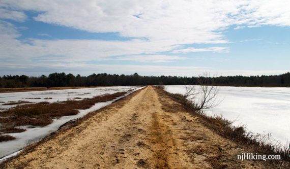Sand road between two frozen cranberry bogs