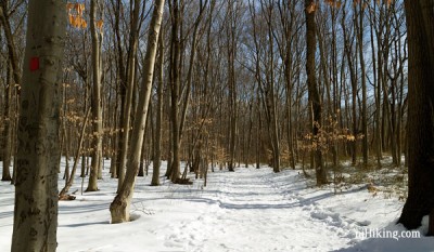 Thompson Park - Middlesex