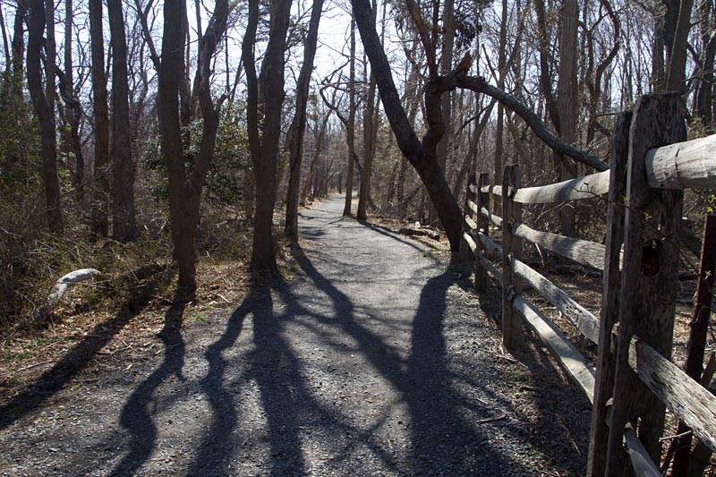 Flat gravel walking path with a split rail fence.