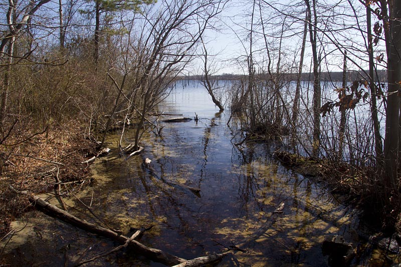 Cove at the edge of a reservoir.