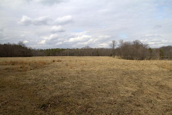 IMG_0038