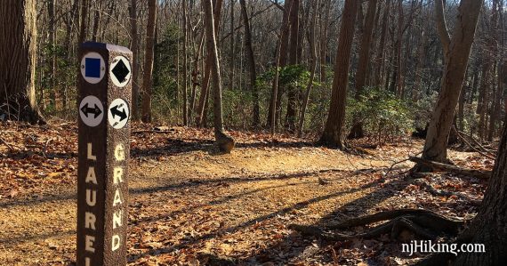 Trail marker post for the Laurel and Grand Loop trails.