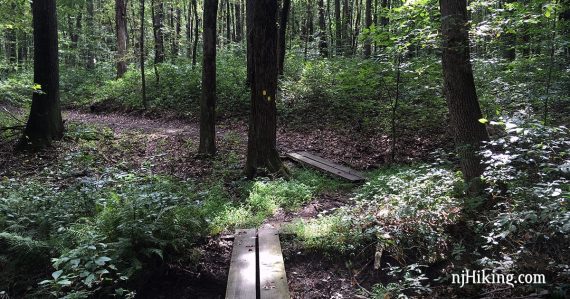 Planks on a trail in Ireland Brook Conservation Area.