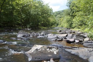 Ralph Stover State Park