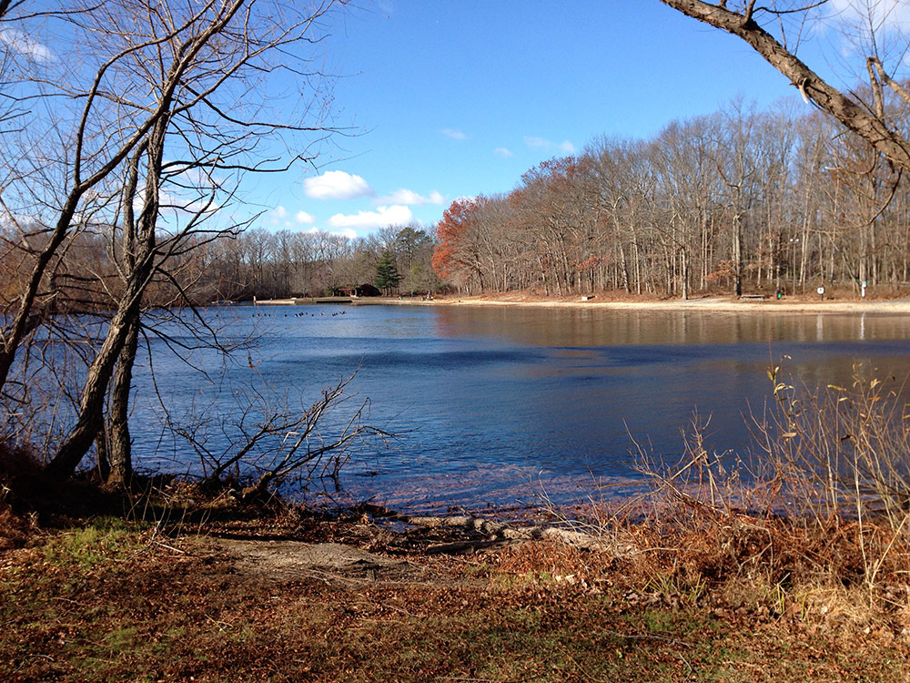 Turkey Swamp Manasquan Trail