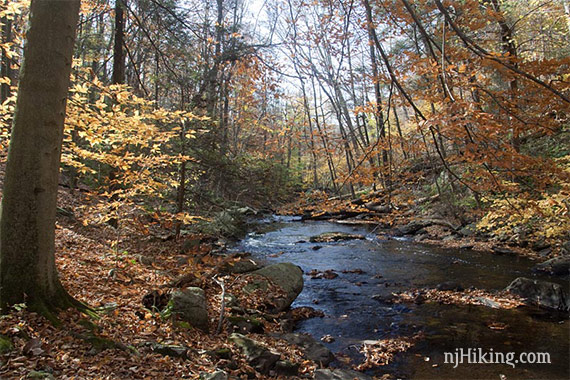 Sunlight streaming through fall foliage along a river.