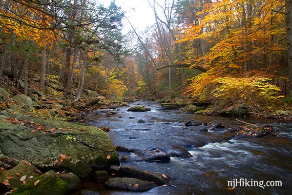 Bright yellow and orange leaves hanging over a rock filled stream.