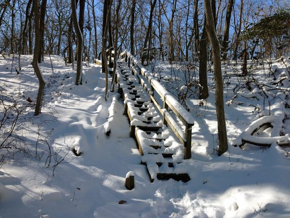 Snow covered trail steps