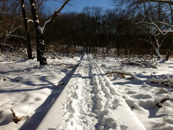 Long boardwalk covered in snow