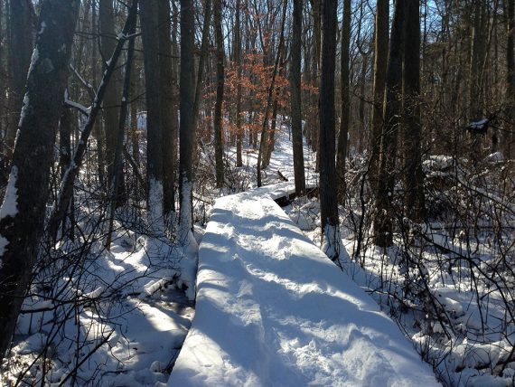 Wooden boardwalk covered in snow