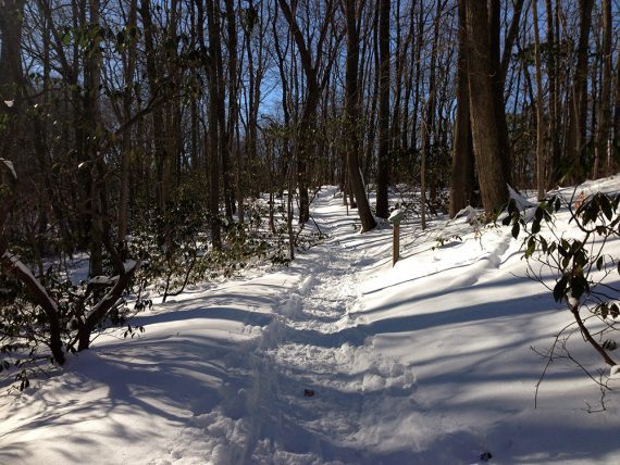 Cheesequake in the Snow