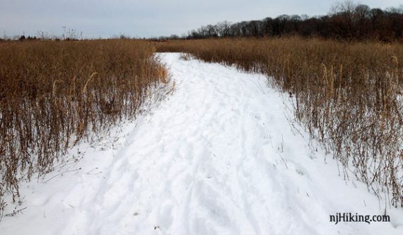 Snowy trail through field