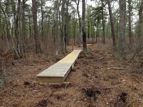 Newly built plank boardwalks over a trail.