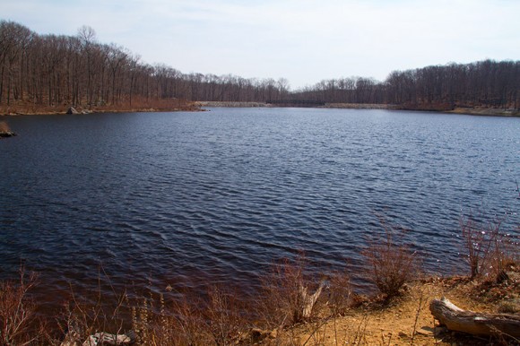 Saffin Pond