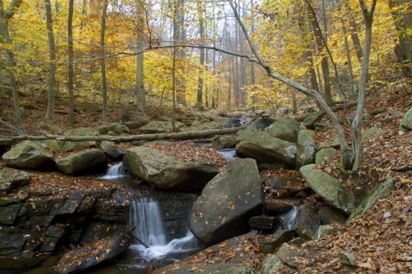 Hacklebarney State Park cascades tumbling between large rocks.