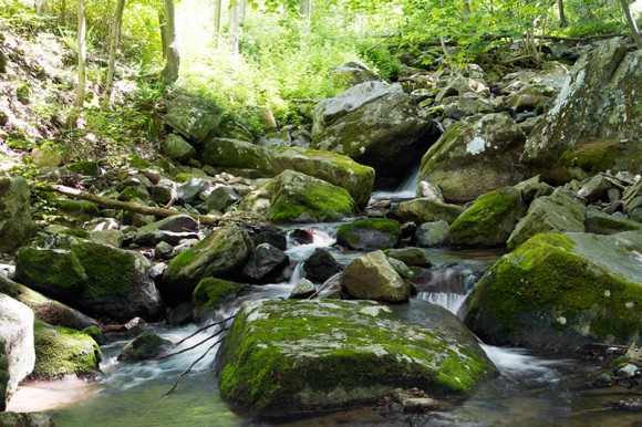 Water cascading over rocks in Musconetcong Gorge.