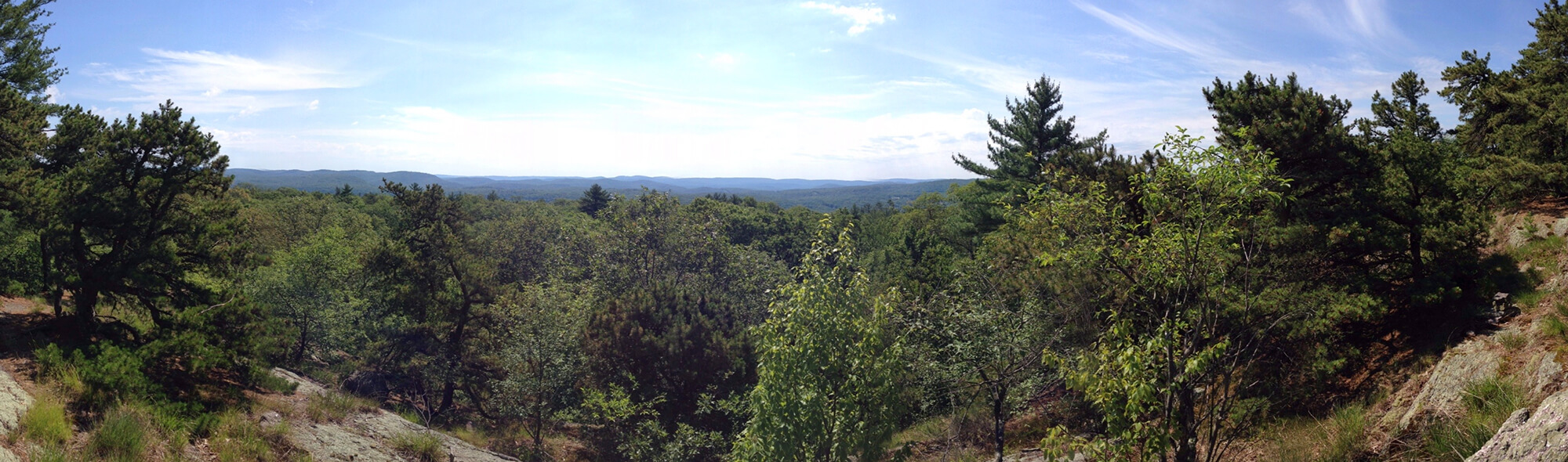 Panorama of a forest from a ridge