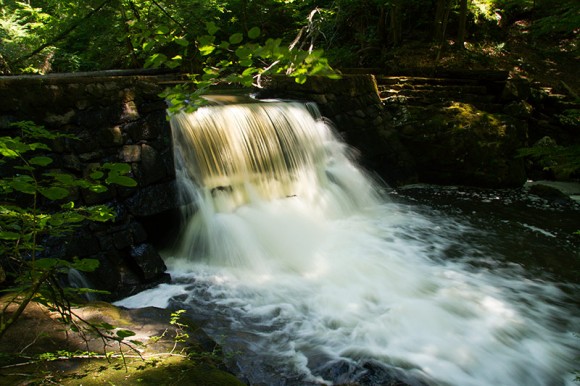 Kay's Cottage dam on the Black River.