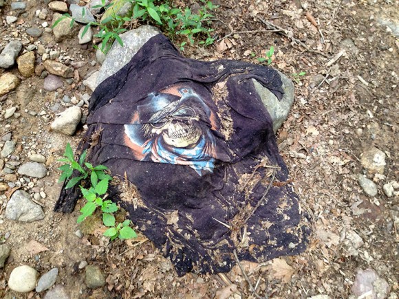 T-shirt on Horse Pond Mountain Trail, Norvin Green S.F.