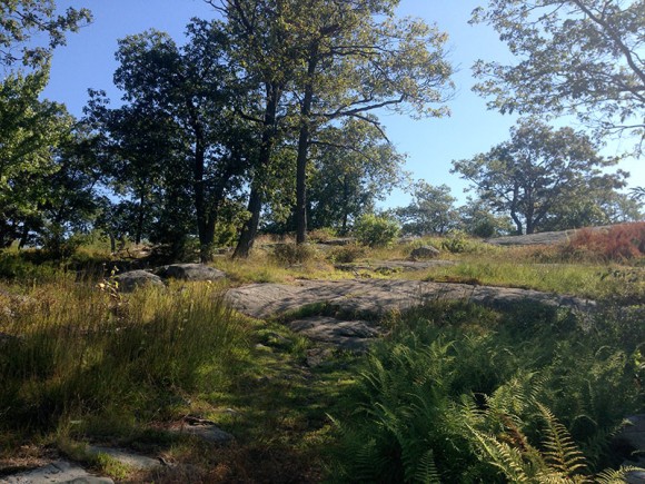 Rocky trail in Harriman.