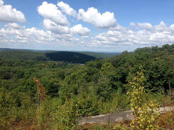 View of green rolling hills.