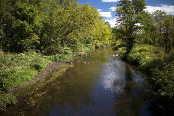 Wide stream with green trees on either side.