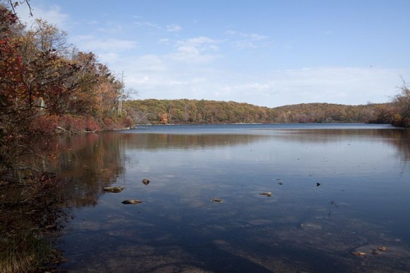 Sunfish Pond.