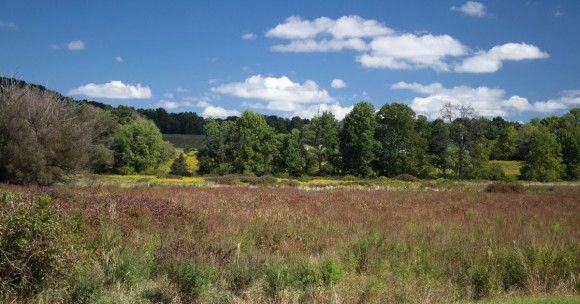 Great Valley Rail Trail Loop.