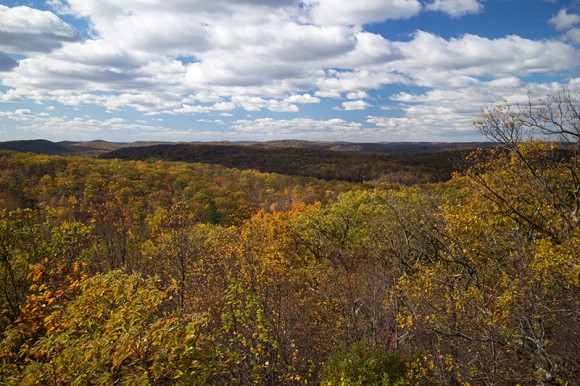 Fluffy white clouds in a blue sky over gold and green foliage covered hills.