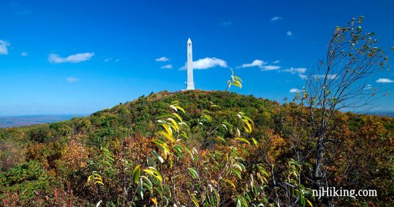 High Point obelisk monument on a hill with yellow green leaves in the foreground.