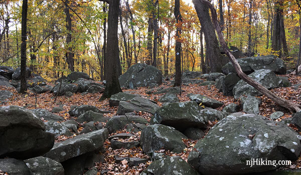 Large boulder field along a trail in Autumn.