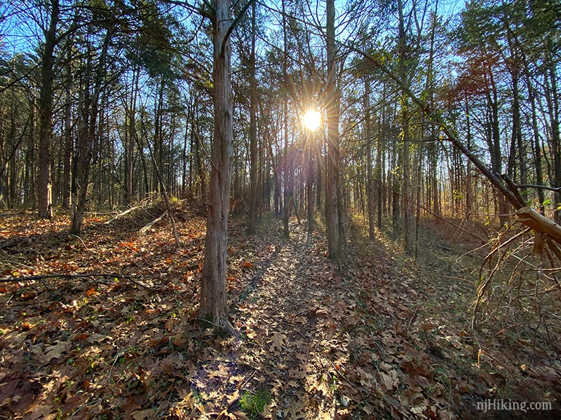 Butler Road Natural Area