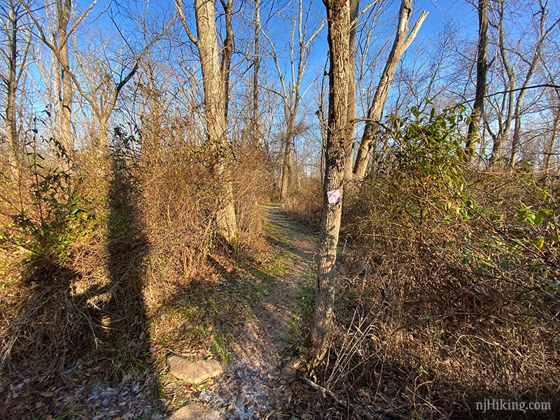 Butler Road Natural Area