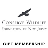 Conserve Wildlife Foundation of NJ