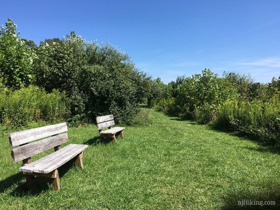 Grassy trail and benches