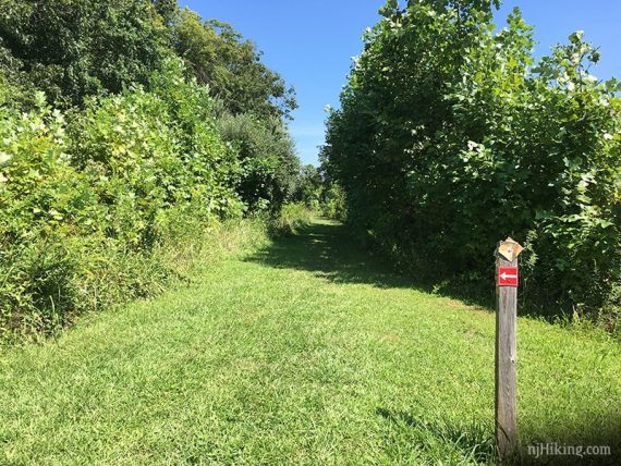 Trail marker along grassy trail