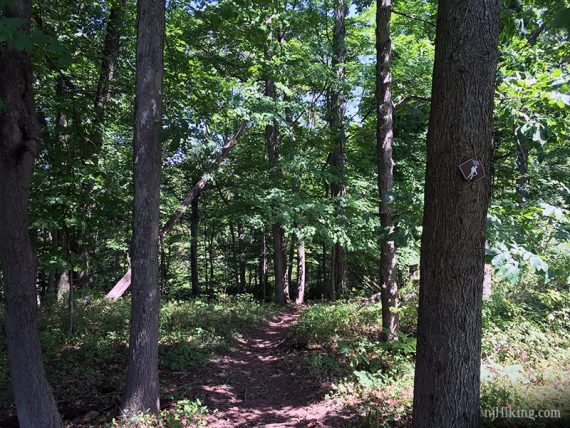 Brown trail marker on path