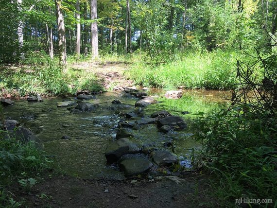 Stream crossing on rocks