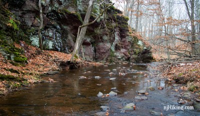 Bunker Hill Natural Area