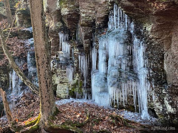 Icicles running down a cliff