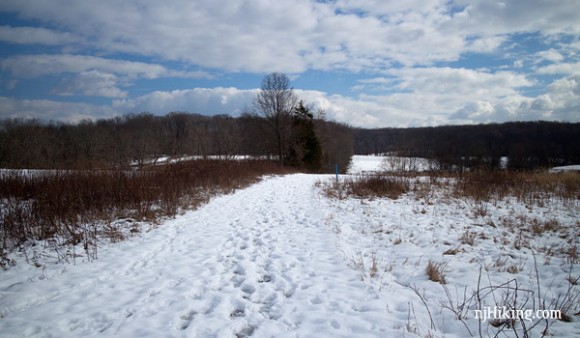 Griggstown Native Grassland