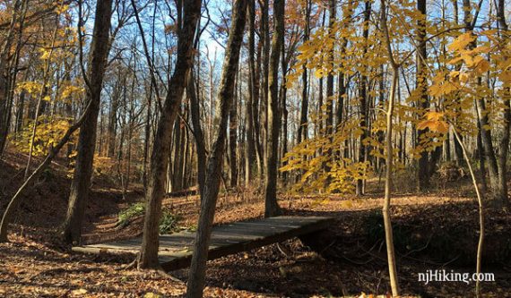 Footbridge over a stream at Washington Crossing.