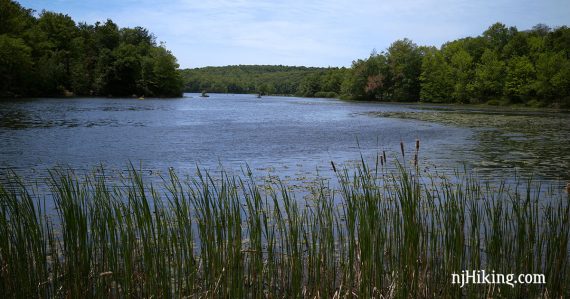 Wawayanda Lake.