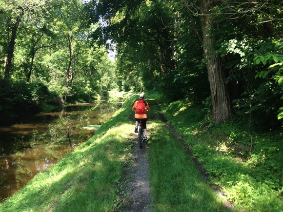 Bike rider on a flat path adjacent to a canal with trees overhead.