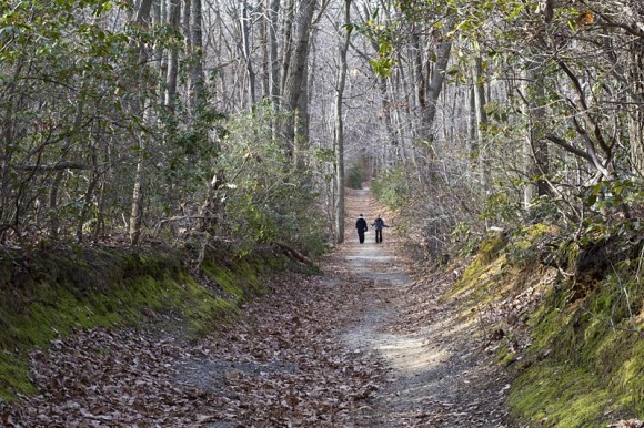 Hikers on a wide flat trail in Hartshorne Woods.