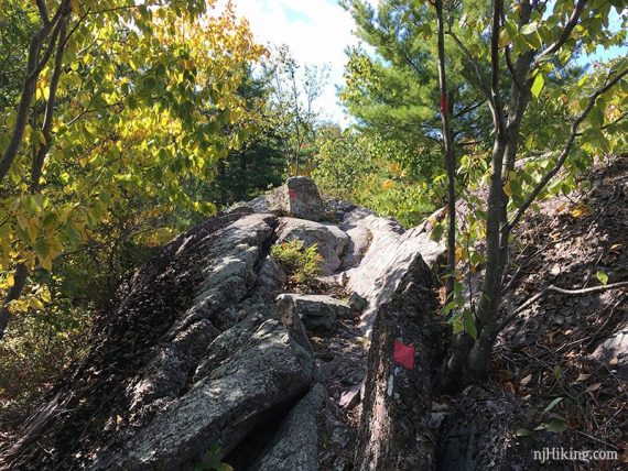 Red blazes on large rocks on the trail.